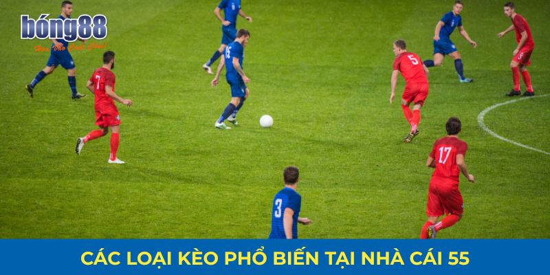 Tỷ lệ kèo nhà cái 55 mới nhất – nhận định trận đấu hot từ Bong88 2 Các loại kèo thường thấy tại kèo nhà cái 55
